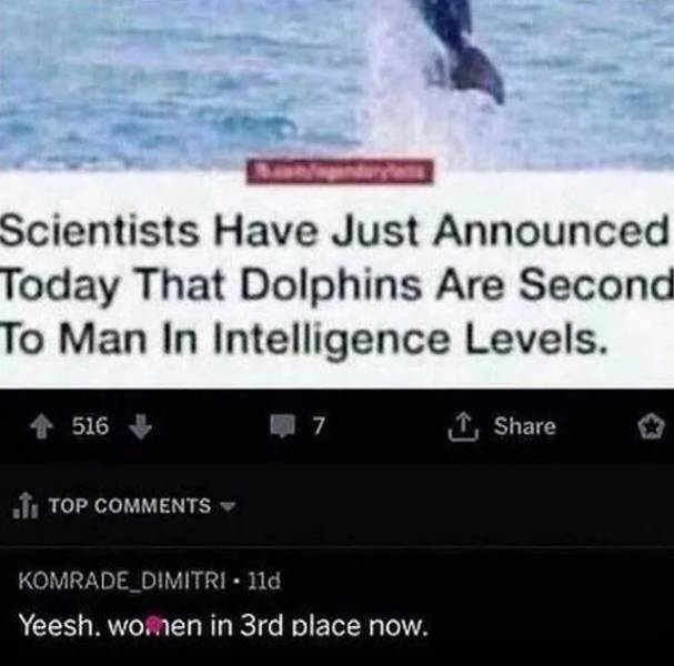 image.jpeg.b353ef228215eecc71c9d346e6756a5f.jpeg