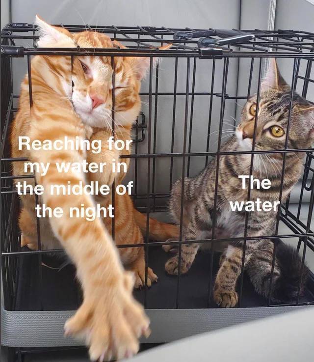 image.jpeg.cd256c0b92d84bfd9f8cefd4d1618884.jpeg