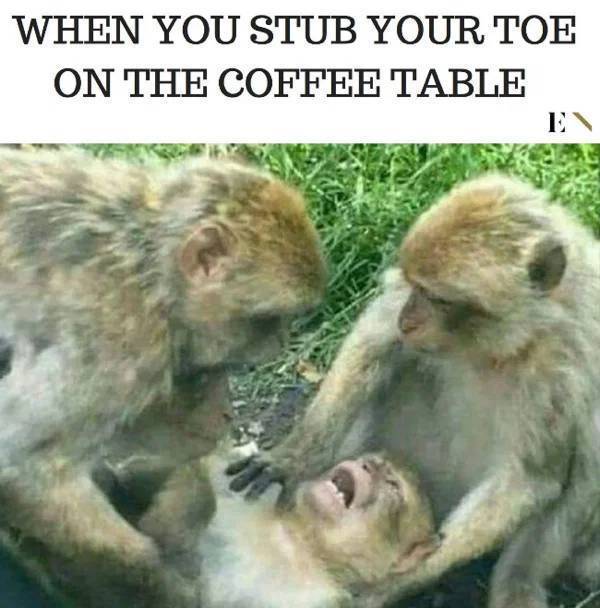 image.jpeg.ec419a0b37596a279ba4f92072fd7a33.jpeg