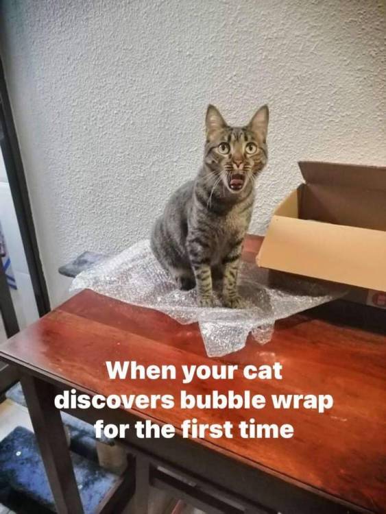 image.thumb.jpeg.2c614a0f09567d28d0f2a9f2f538e2dc.jpeg