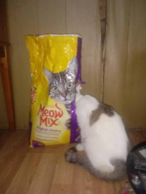 image.thumb.jpeg.3f1f4bf4a0b5308da632812d4677e9d1.jpeg
