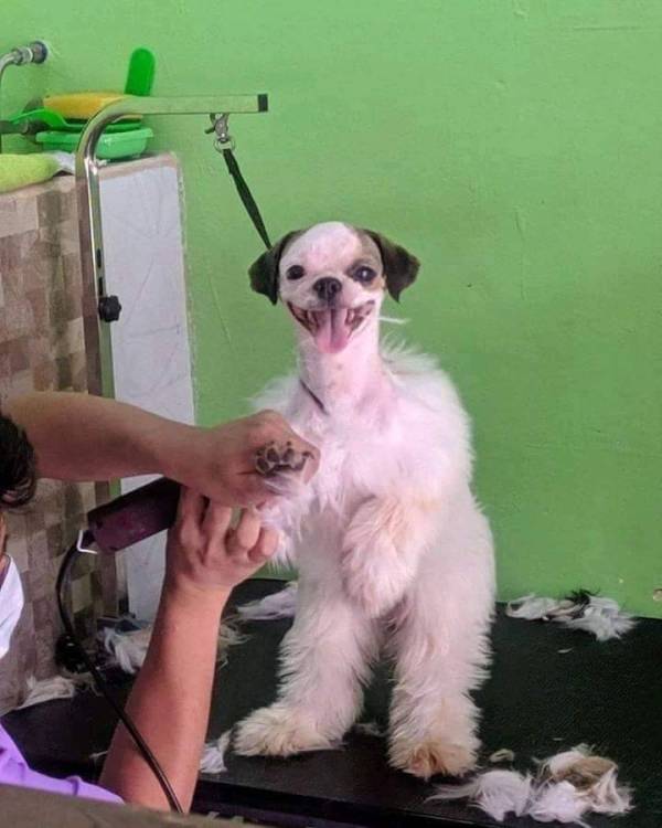 image.thumb.jpeg.581935f7b463c59e5097e8a9061736c3.jpeg