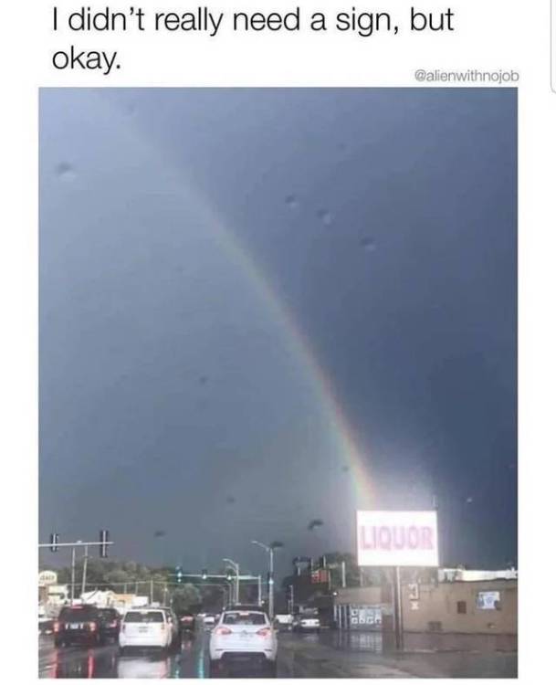 image.thumb.jpeg.9d8348d98bb799ef4eca67f154e77159.jpeg