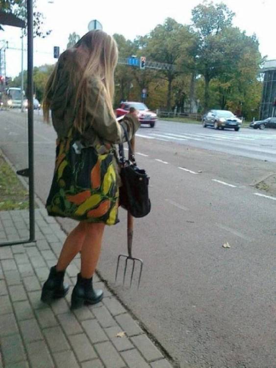 image.thumb.jpeg.ab26bfbbce3120159a501cdd44a5c20c.jpeg
