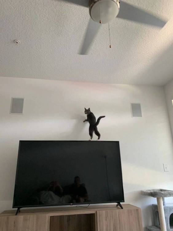 image.thumb.jpeg.b1326ba8fe202461239fe6950955869f.jpeg