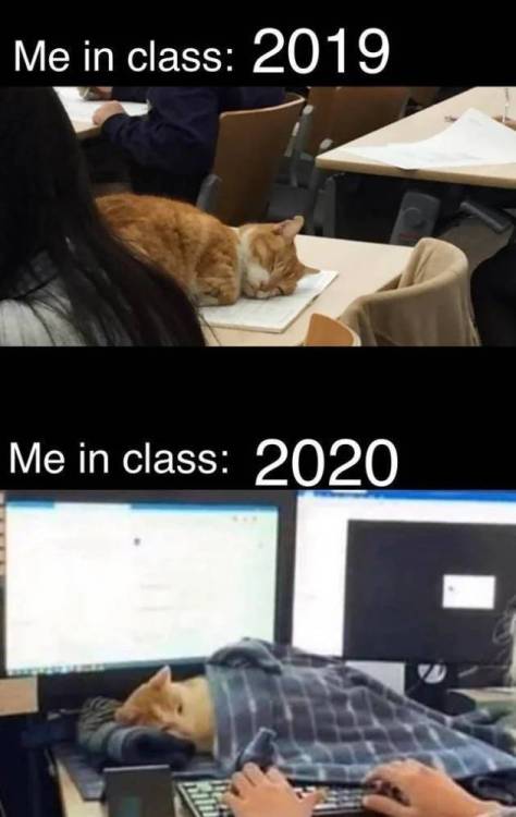 image.thumb.jpeg.be0b3de9ff5b30f9b25a1f8173ddccf7.jpeg