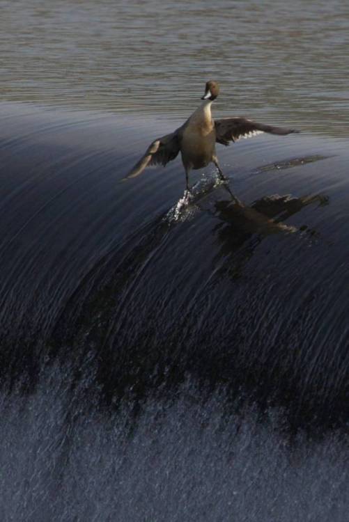 image.thumb.jpeg.c091610060803a9f3244d7bd5749e9aa.jpeg