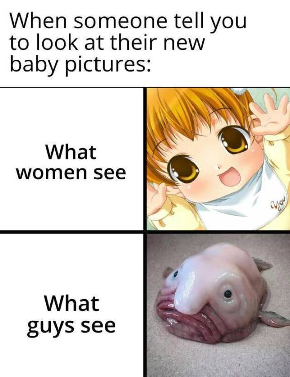image.thumb.jpeg.c0c28cfce503391fe2f2998a5e39bc78.jpeg