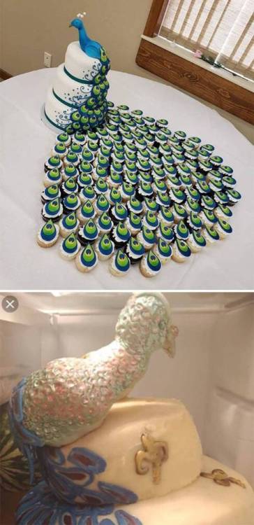 image.thumb.jpeg.c9a55423e7de758f6f54c841d162787a.jpeg