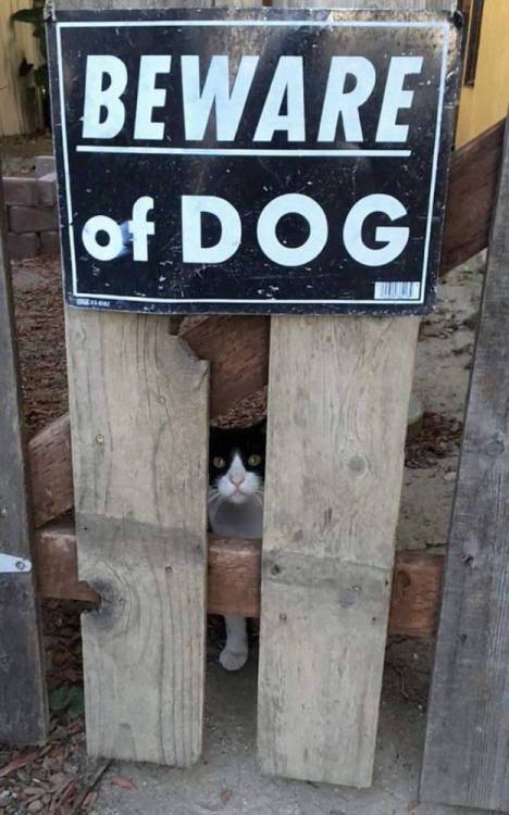 image.thumb.jpeg.e5683b885dd1b0638d5f2c7b0d7f9d5f.jpeg