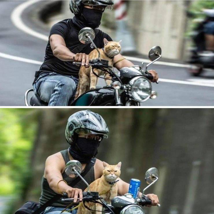 17751149339316800830548198104682.jpg