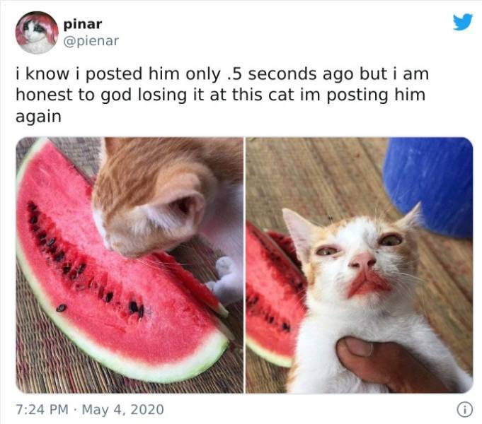 17756526317593167740253805350788.jpg
