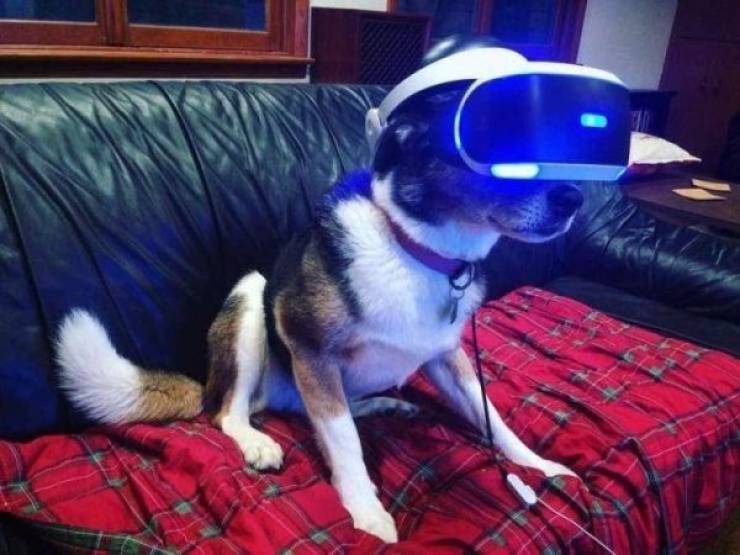 17756594927825430419571412883756.jpg