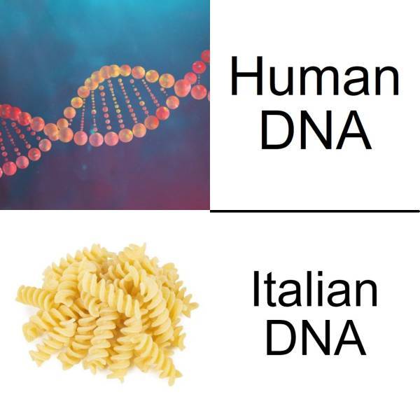 17762374843362360972382212063922.jpg