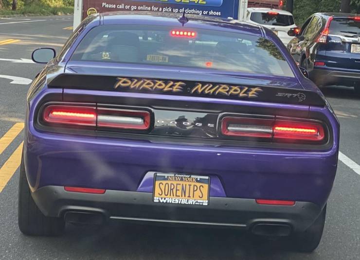 17763284259084072202959341673283.jpg