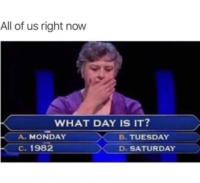 17764455337322179212478361058013.jpg