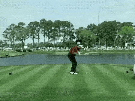 17766876685314102311041531643074.gif