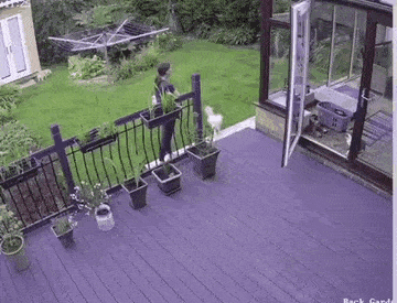 17767538829292272541693975699903.gif