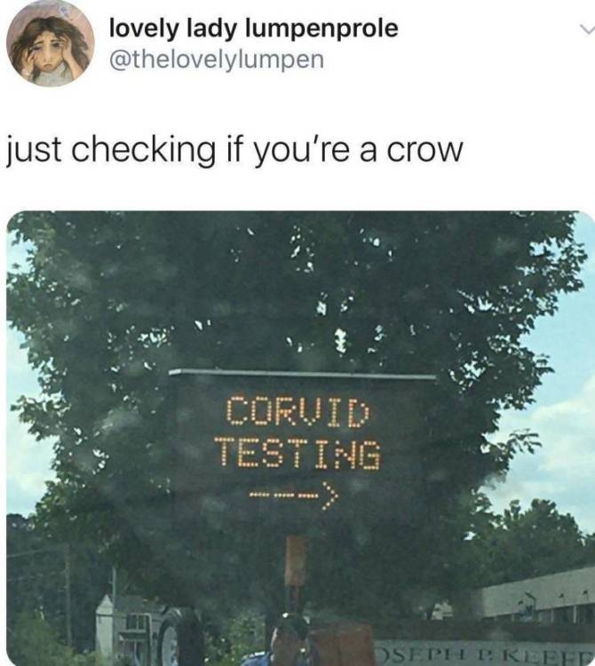 17770325154442248844076990364304.jpg