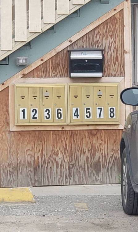 1777449082002294278320377451497.jpg