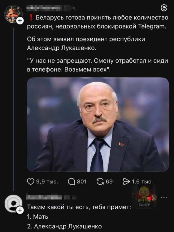 20807489.jpg