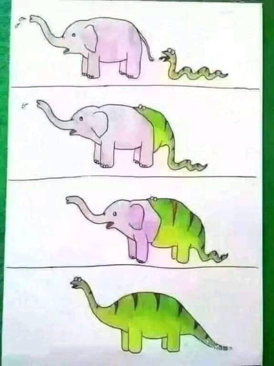 220313202_306163941301197_78277889290699822_n.jpg