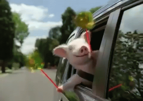 17781281162443224975666811052303.gif