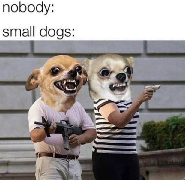 17786769552479167748773046062822.jpg