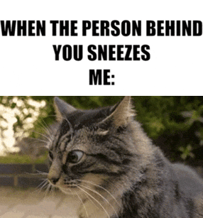 17786930177881871187096050824376.gif