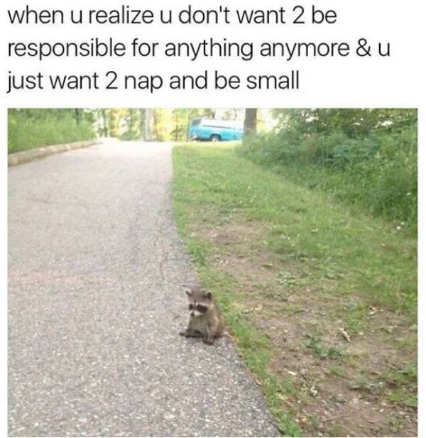 17787312535572675779940365432050.jpg