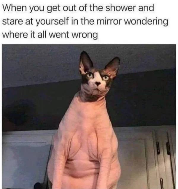 17787454066207796059503225647985.jpg