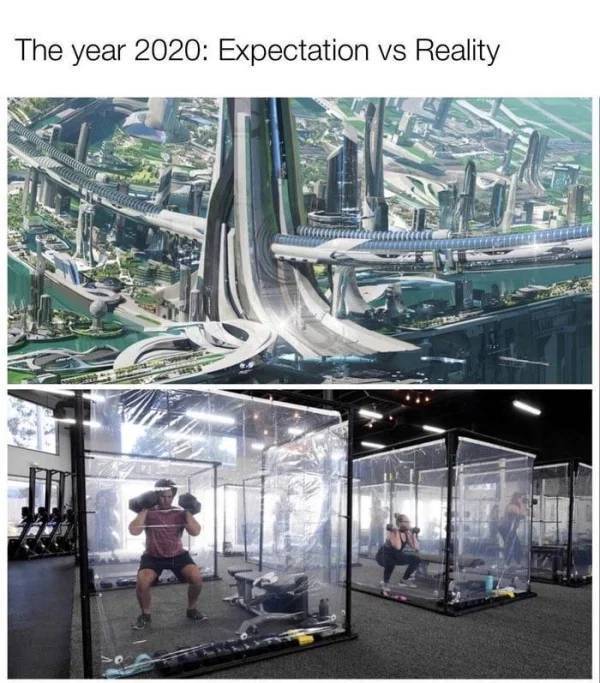 17787576363213621470079071181078.jpg