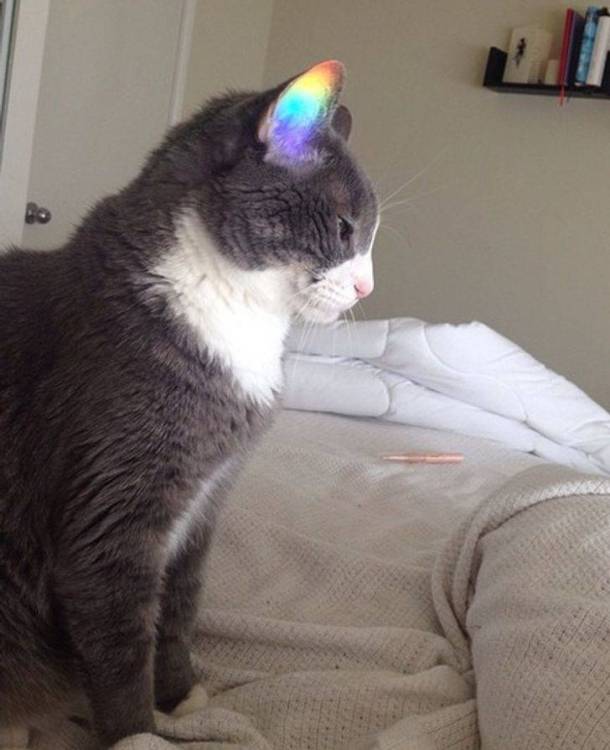 1779077623989166799743902592043.jpg