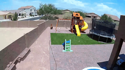 17791838595595201222990069361551.gif