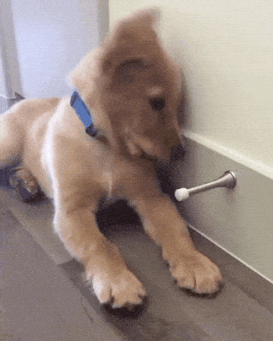 17793497778938533994895047471048.gif