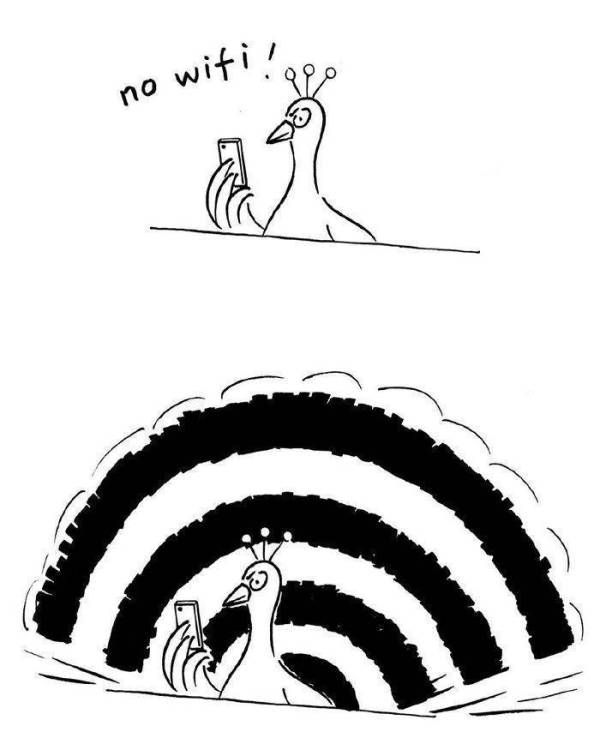 17793626302922947547529499199569.jpg
