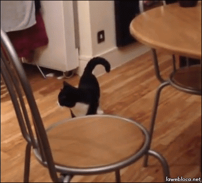 17794534953974992419048190974327.gif