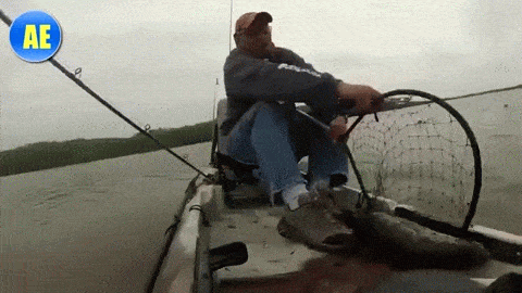 17795532478407450903708526299566.gif