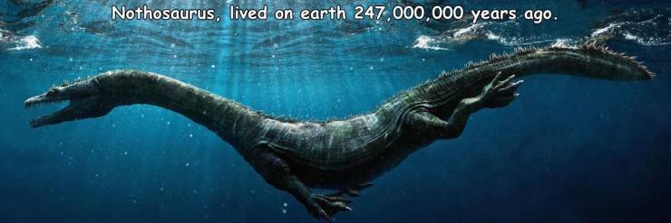 17797361343606945393085594694589.jpg