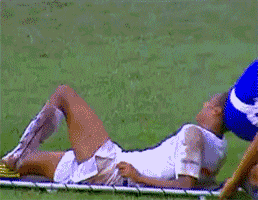 17797427915512475447058875175525.gif