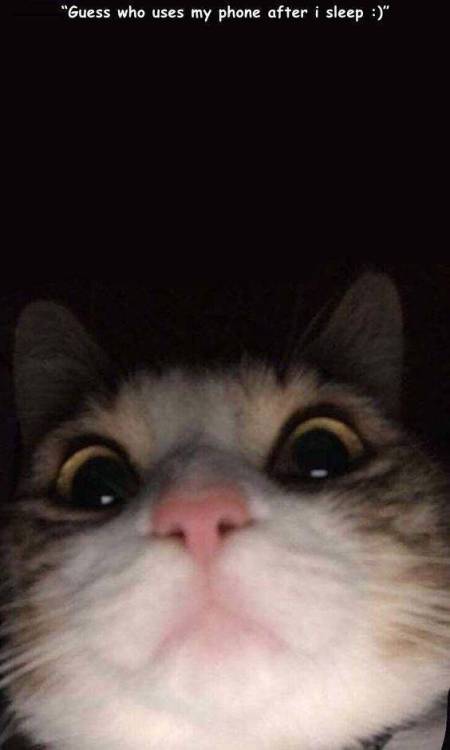 17798822826144746748061450828710.jpg
