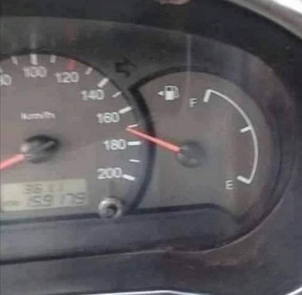 17799118399606676408334518783396.jpg