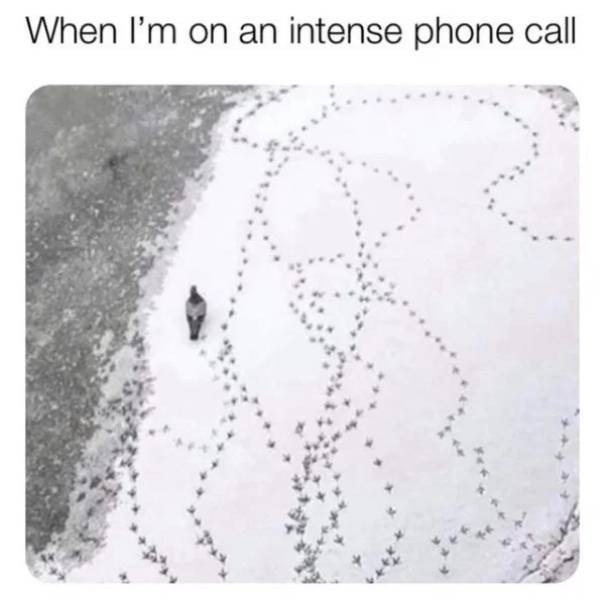 17799549617117122490914971138964.jpg