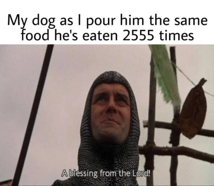 17799574194131494869235219474580.jpg