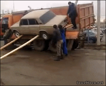 17803328882175646352532537721069.gif
