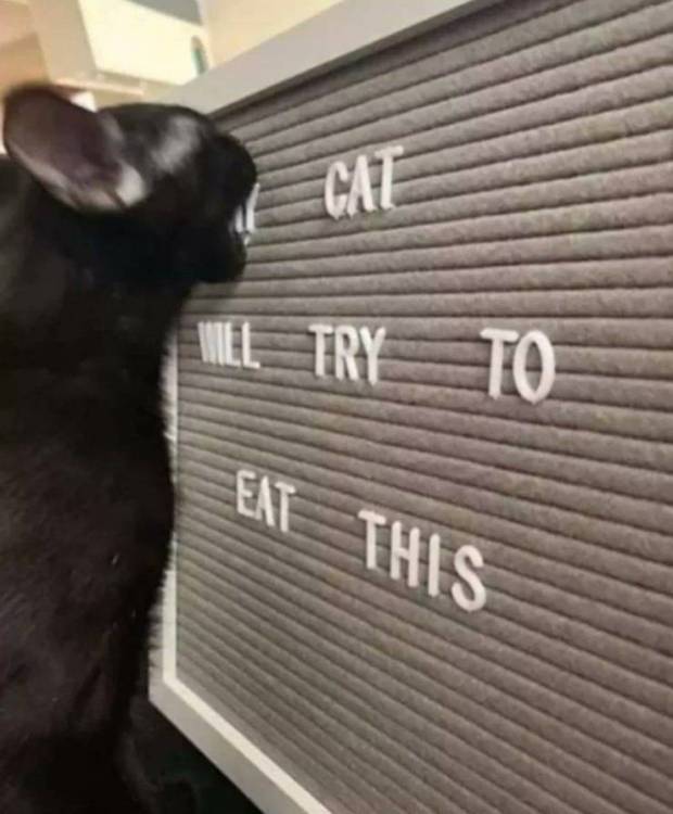 17828446405882238456640922237866.jpg