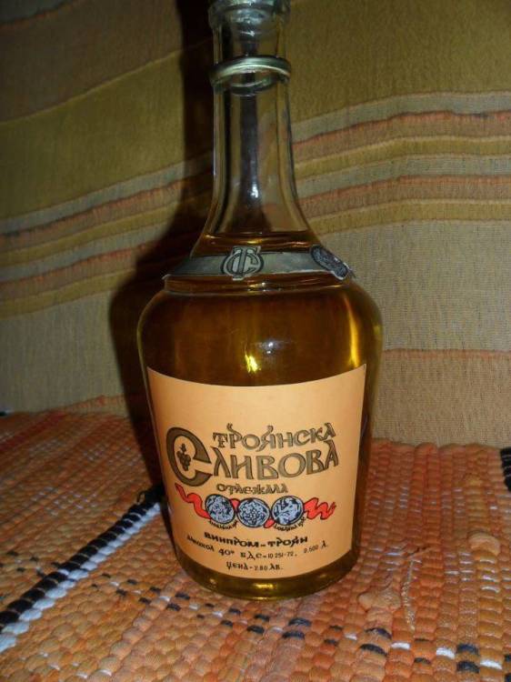 сдсдс.jpg