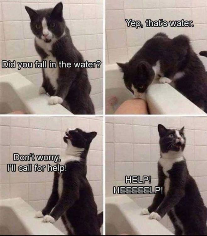 1782902458987825569358845753680.jpg