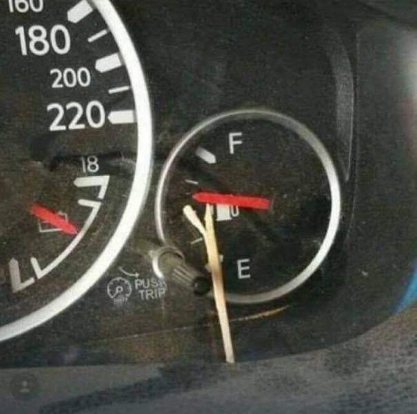17843909275667386381923339875829.jpg