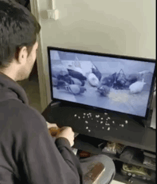 17846372051072649264820504338398.gif